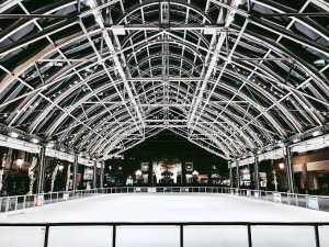 rtc ice skating pavillion